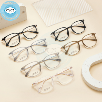 Gọng nhựa càng kính titanium mã 8138